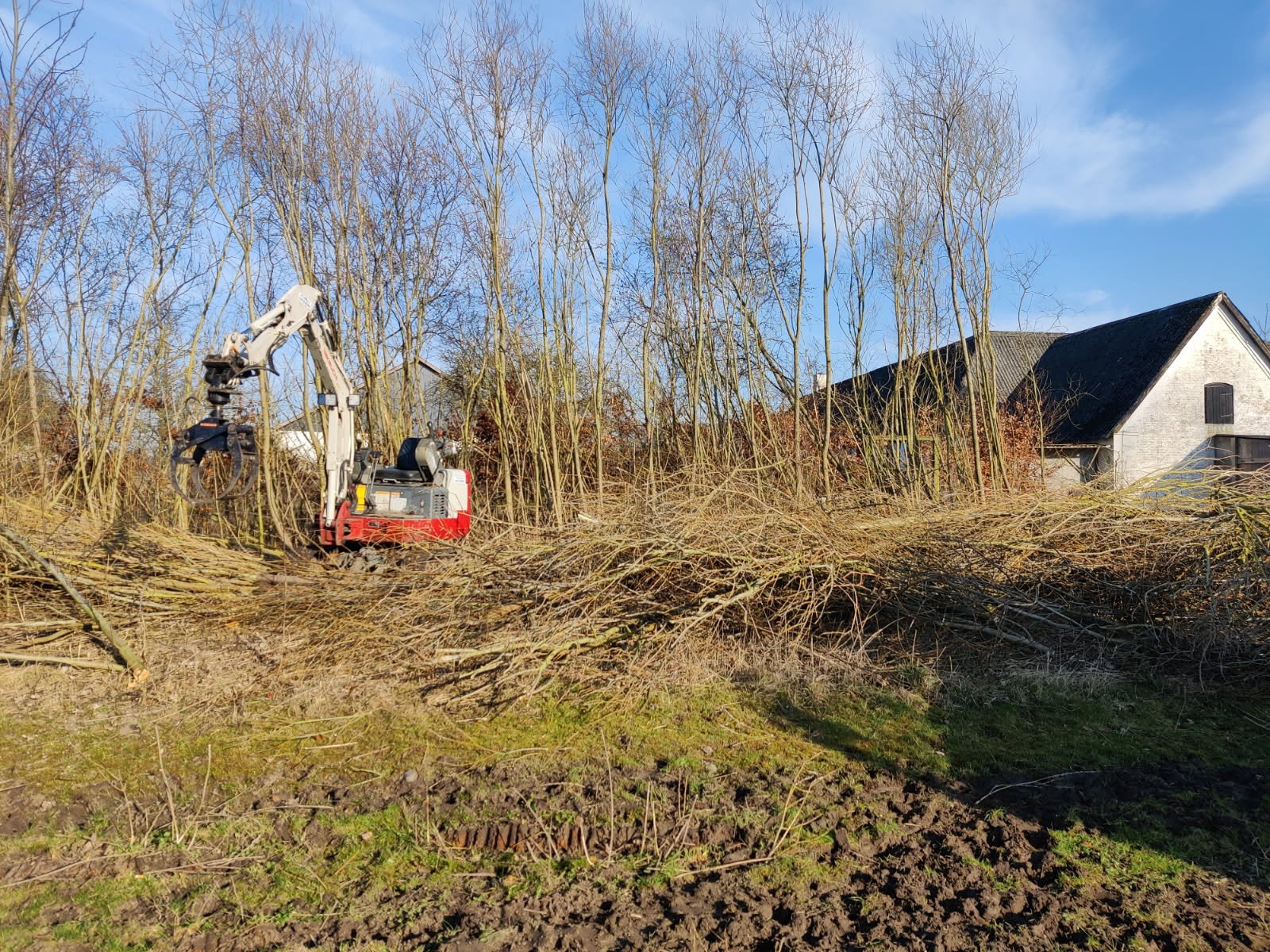 Rydning med gravemaskine